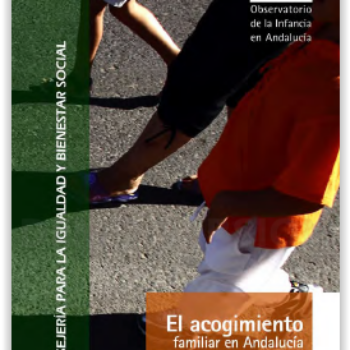 El acogimiento familiar en Andalucía: procesos familiares, perfiles personales